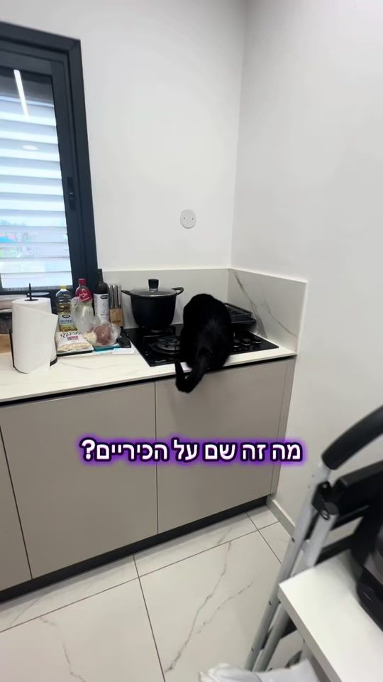 TikTok video thumbnail by zimesthecat