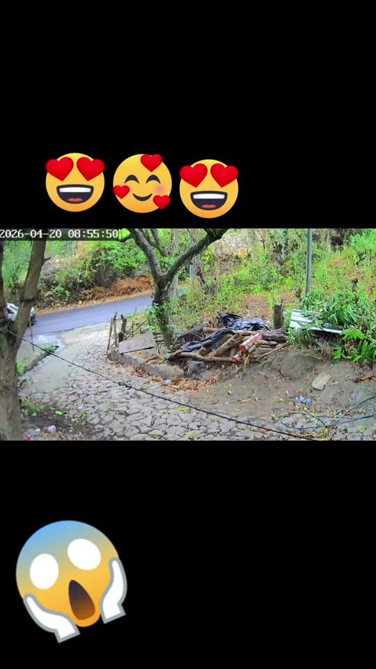 TikTok video thumbnail by franciscoolivar45