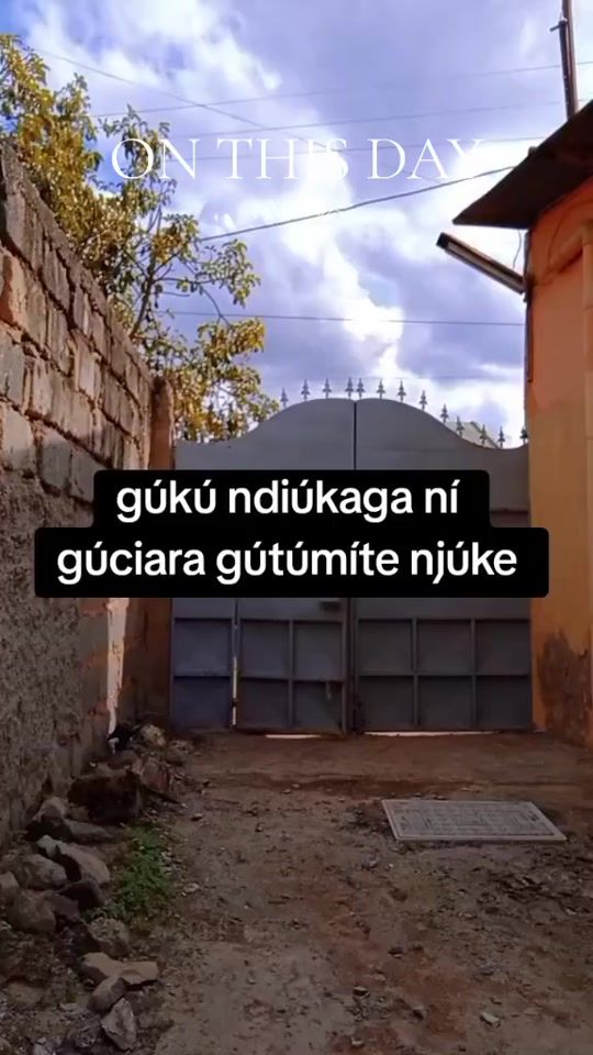 TikTok video thumbnail by marggiemaggi