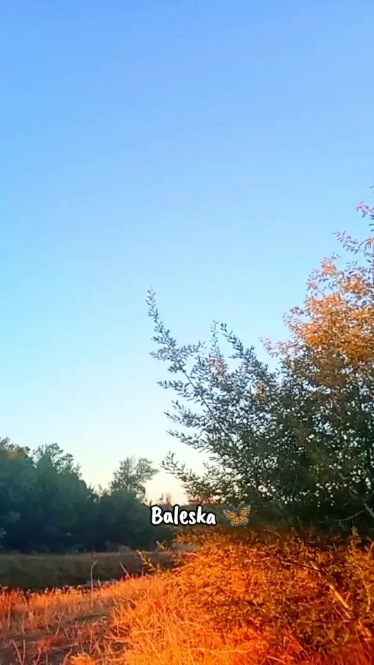 TikTok video thumbnail by baleskaduran10