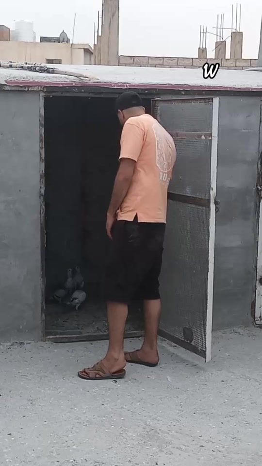 TikTok video thumbnail by abdismran1