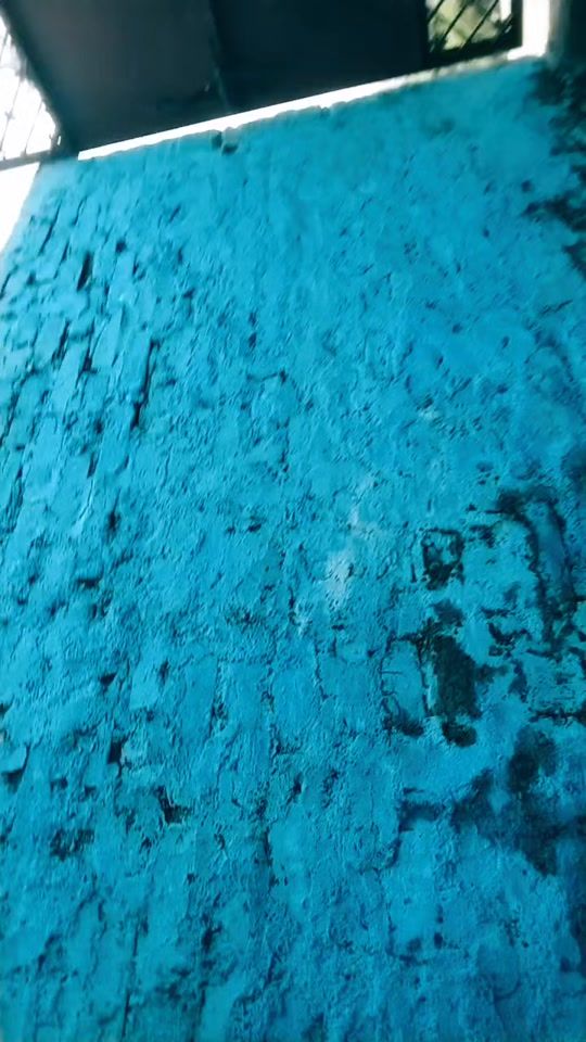 TikTok video thumbnail by luckybhaimaithili
