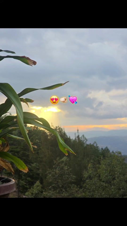 TikTok video thumbnail by ellent.ch