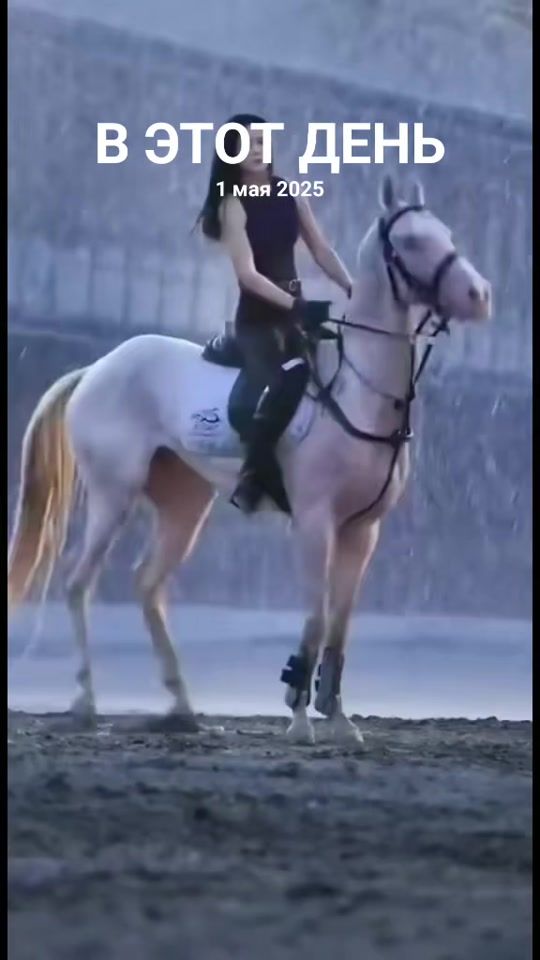 TikTok video thumbnail by nikolay__366