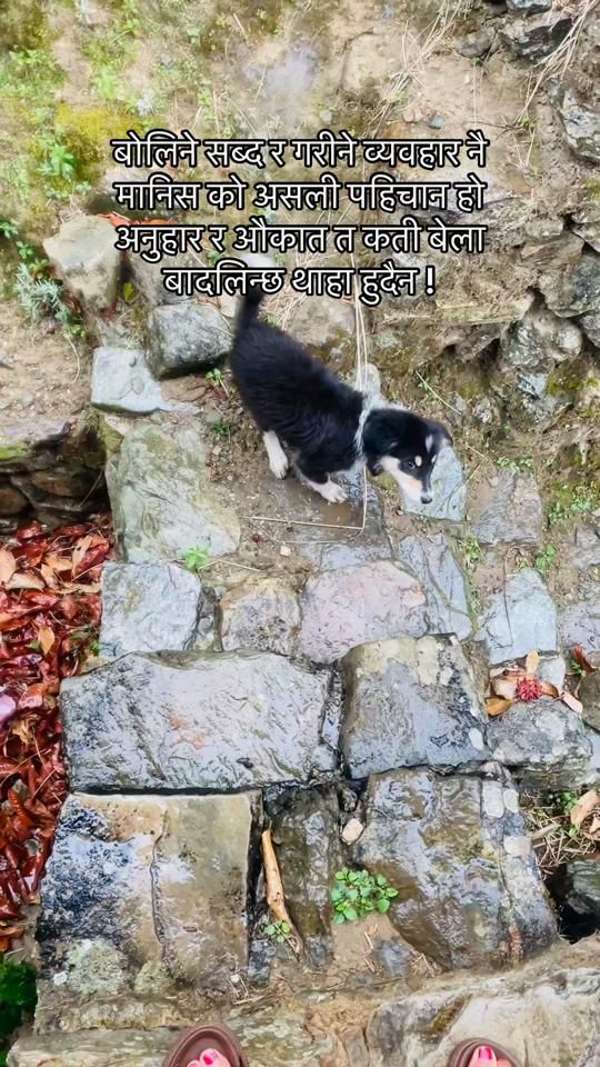 TikTok video thumbnail by maicha_b_mgr