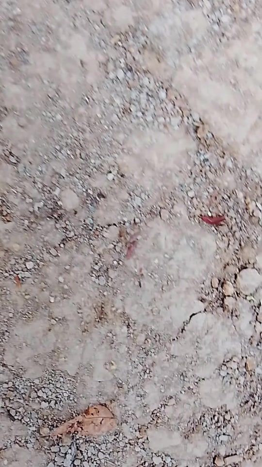 TikTok video thumbnail by cule8461