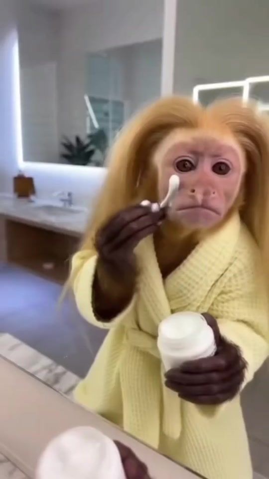 TikTok video thumbnail by mosesmainagitari2