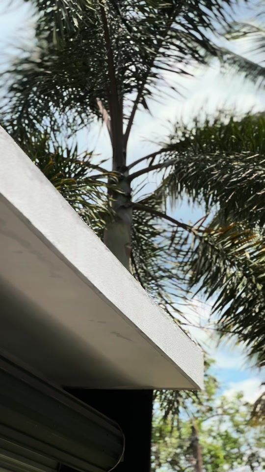 TikTok video thumbnail by bishan_x