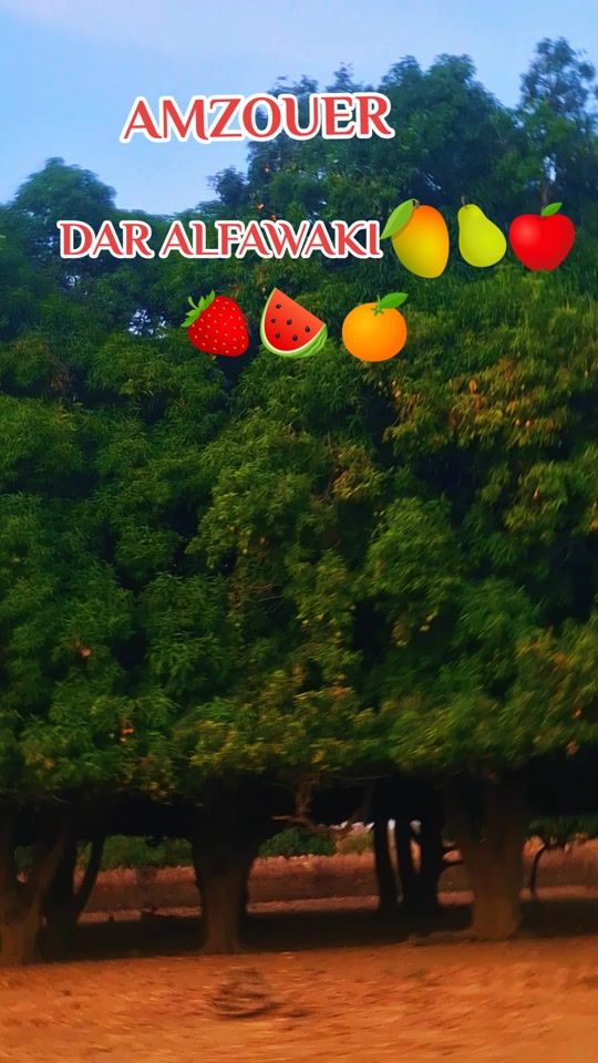 TikTok video thumbnail by ibr_______3