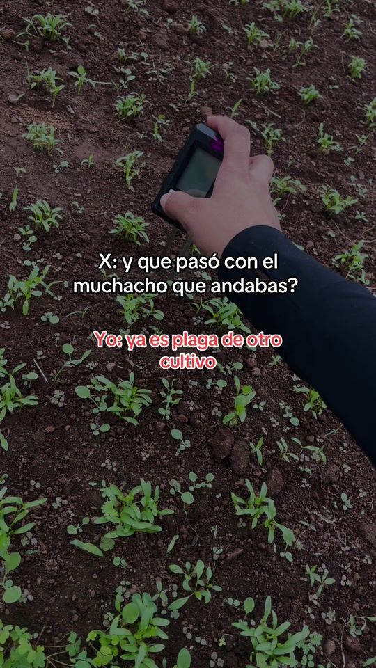 TikTok video thumbnail by soy.gladys.oc