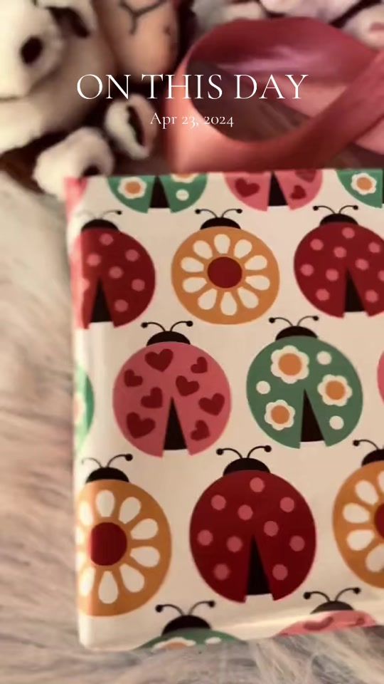 TikTok video thumbnail by liyaracraft316
