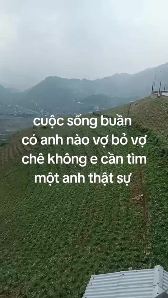 TikTok video thumbnail by tinhanhtinhanh62