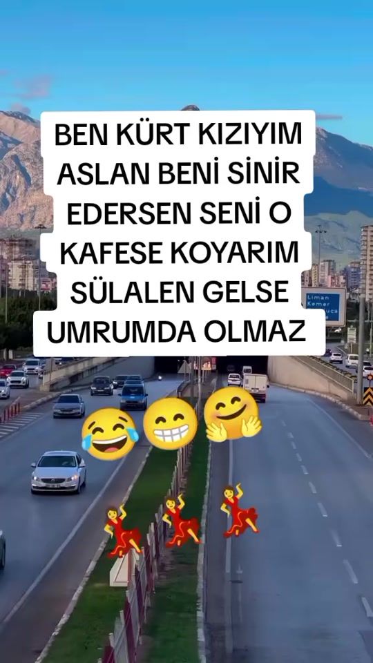 TikTok video thumbnail by sebra..dila..04