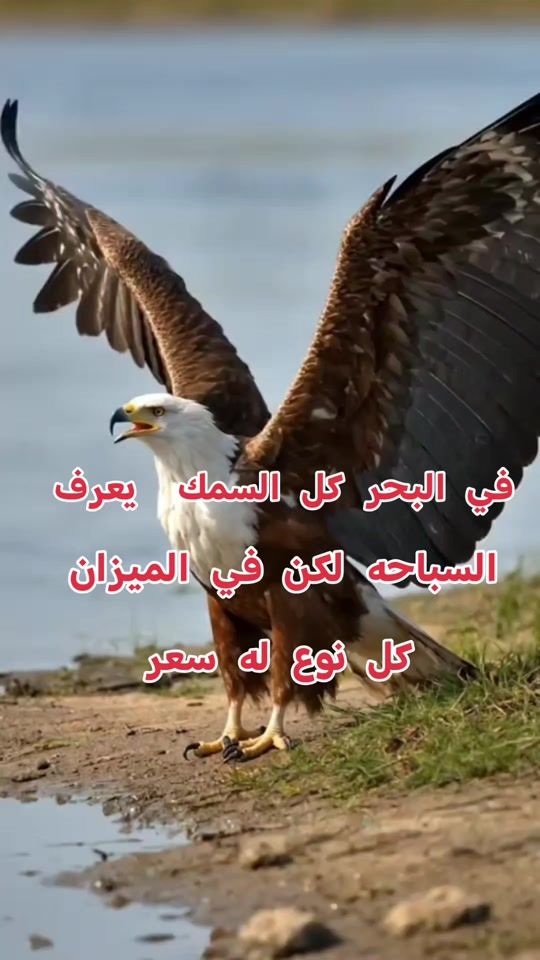 TikTok video thumbnail by .91961430