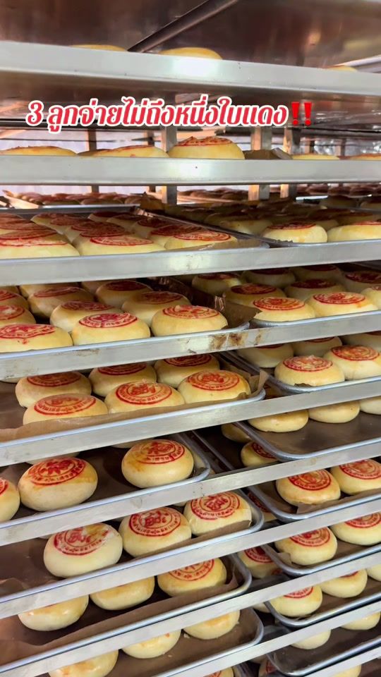 TikTok video thumbnail by neverdie_2563