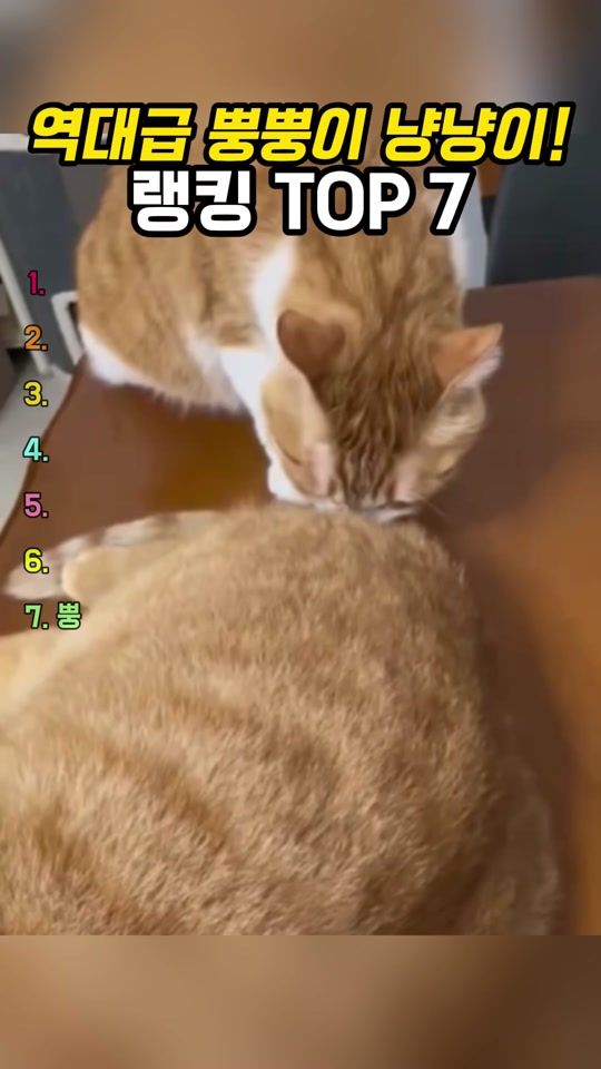 TikTok video thumbnail by meggeramusa