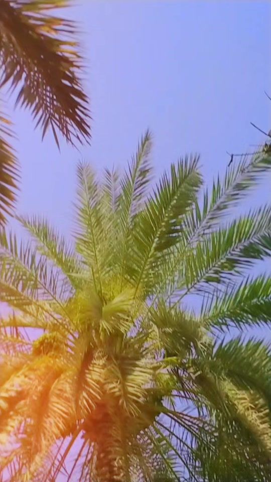 TikTok video thumbnail by ali_amaan110