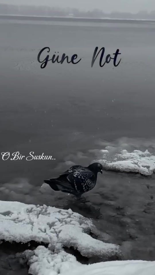 TikTok video thumbnail by __by.suskun__