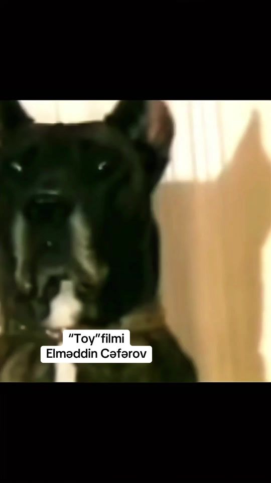 TikTok video thumbnail by retro_radiofm