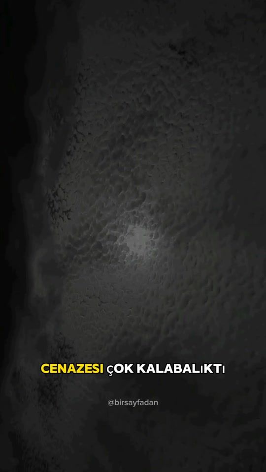 TikTok video thumbnail by rudengstran