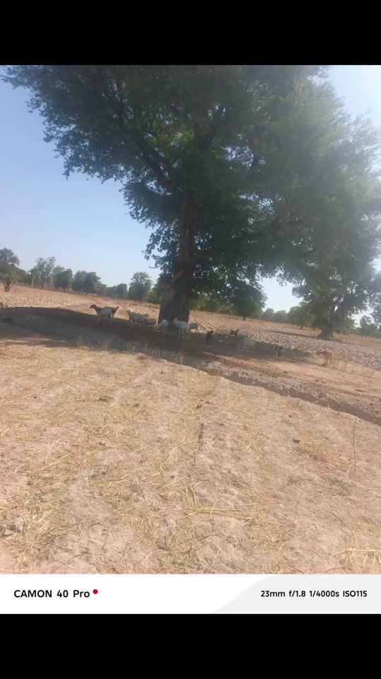 TikTok video thumbnail by ablosg1