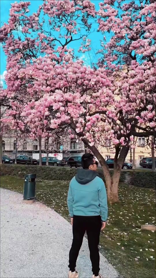 TikTok video thumbnail by ghisingmikmar0