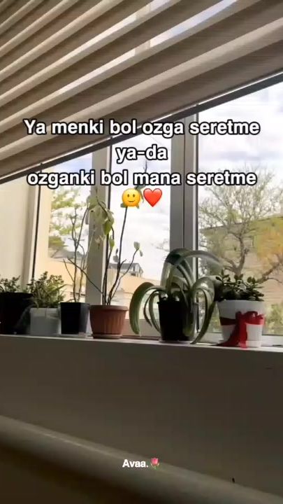 TikTok video thumbnail by tazegullai