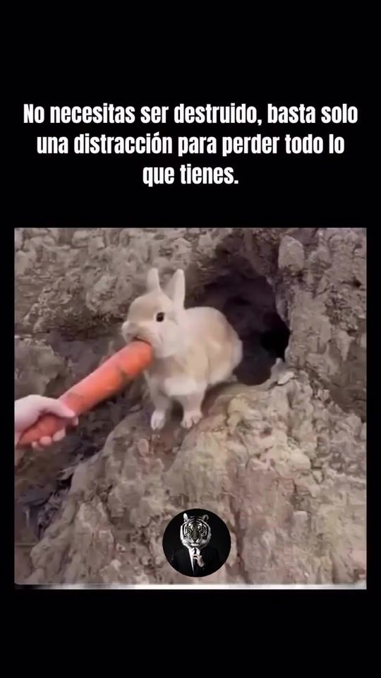 TikTok video thumbnail by rony_1g7
