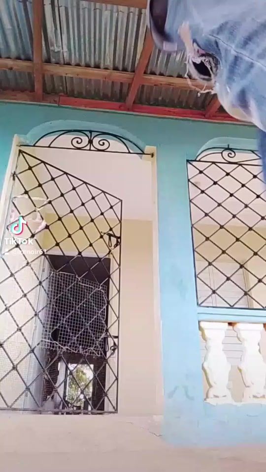 TikTok video thumbnail by mrnoir61