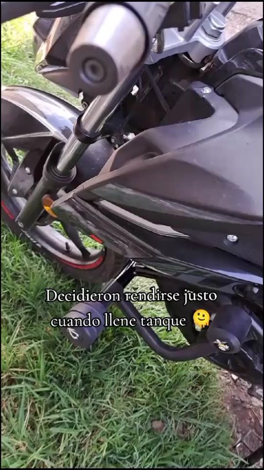TikTok video thumbnail by ferruscassmv