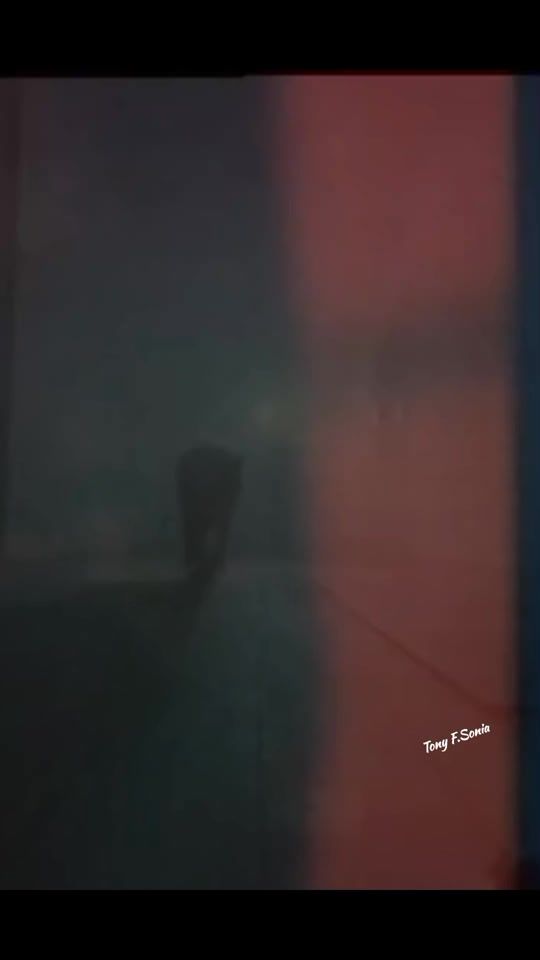 TikTok video thumbnail by tonyfabysmithsonia