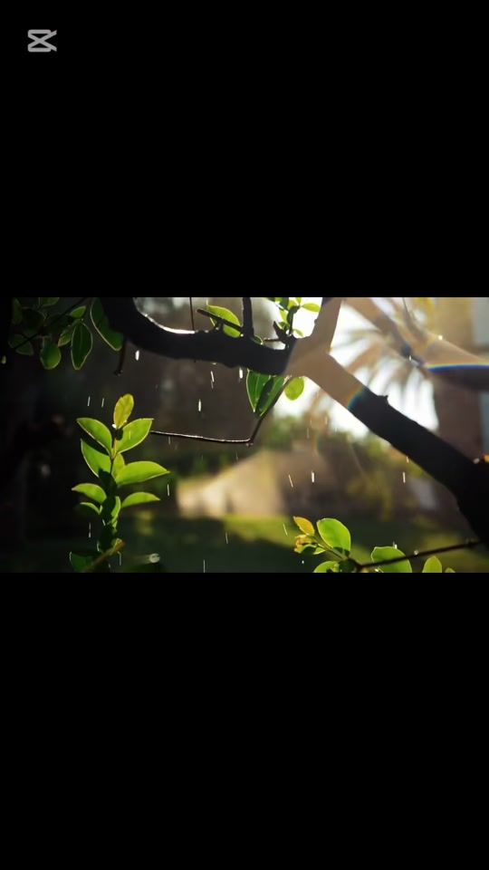 TikTok video thumbnail by emmanuel.aulame