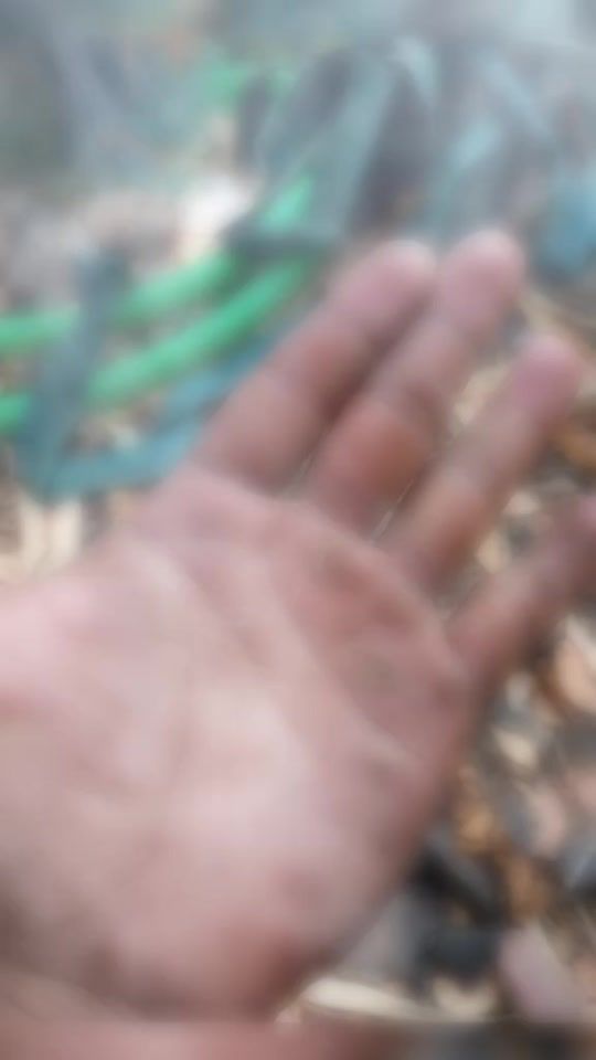 TikTok video thumbnail by seuolt