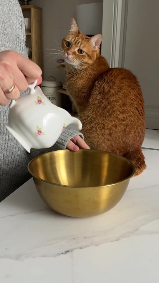TikTok video thumbnail by ev.malinevska