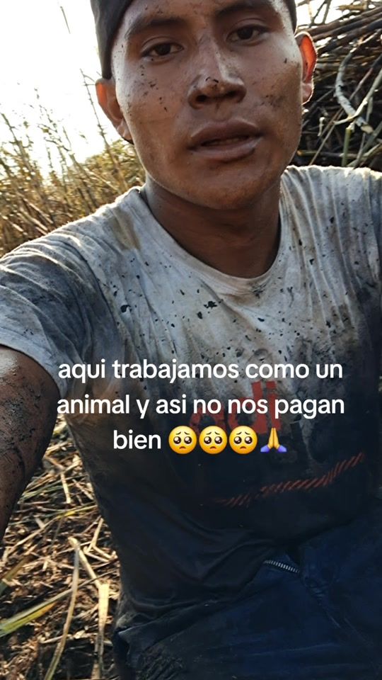 TikTok video thumbnail by luismarco502