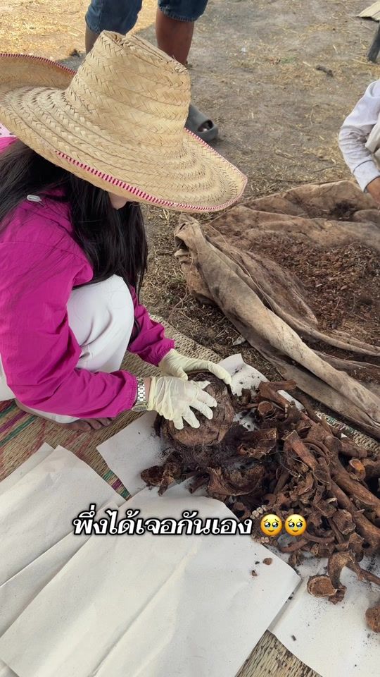 TikTok video thumbnail by navapornsangyoy