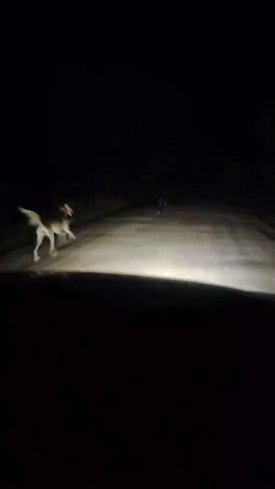 TikTok video thumbnail by tatopulus