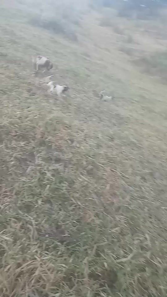 TikTok video thumbnail by eli1237021