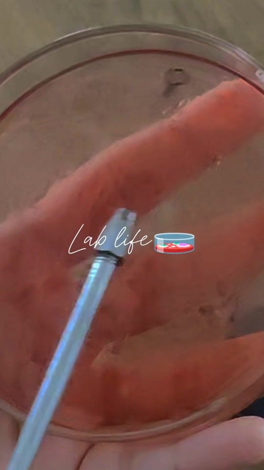 TikTok video thumbnail by smari___05