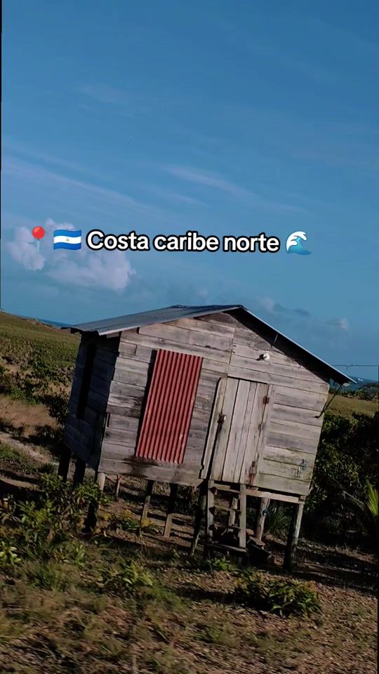 TikTok video thumbnail by williamsocmp366