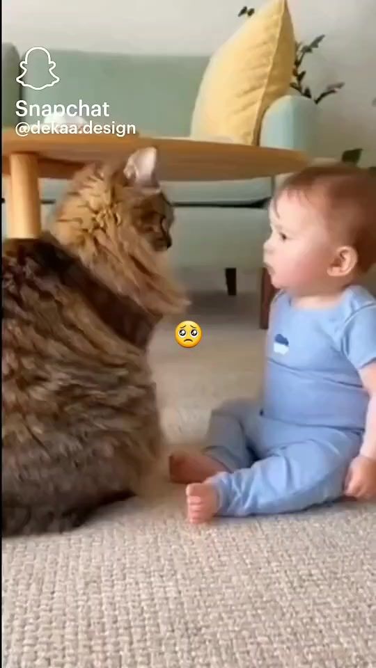 TikTok video thumbnail by nahlasabbouh