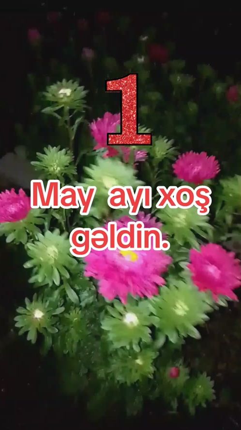 TikTok video thumbnail by kifayat345039274820