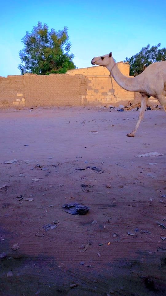 TikTok video thumbnail by user4181253975574