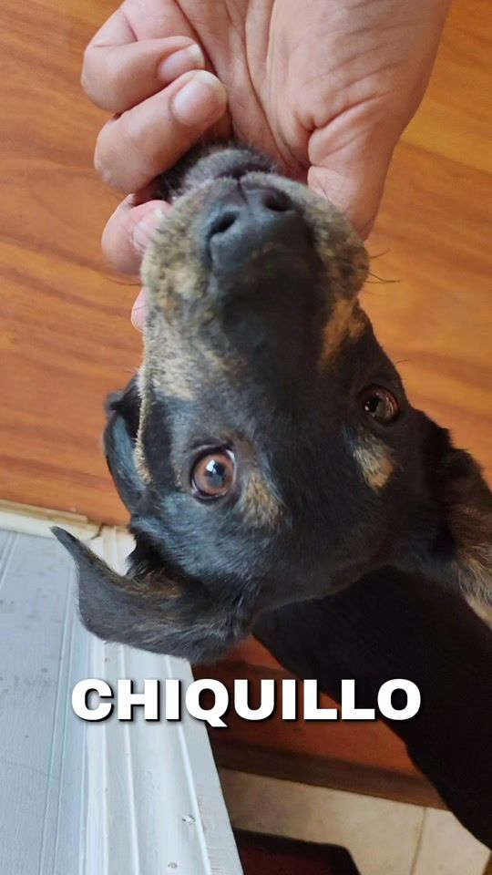 TikTok video thumbnail by pauli.lapaz