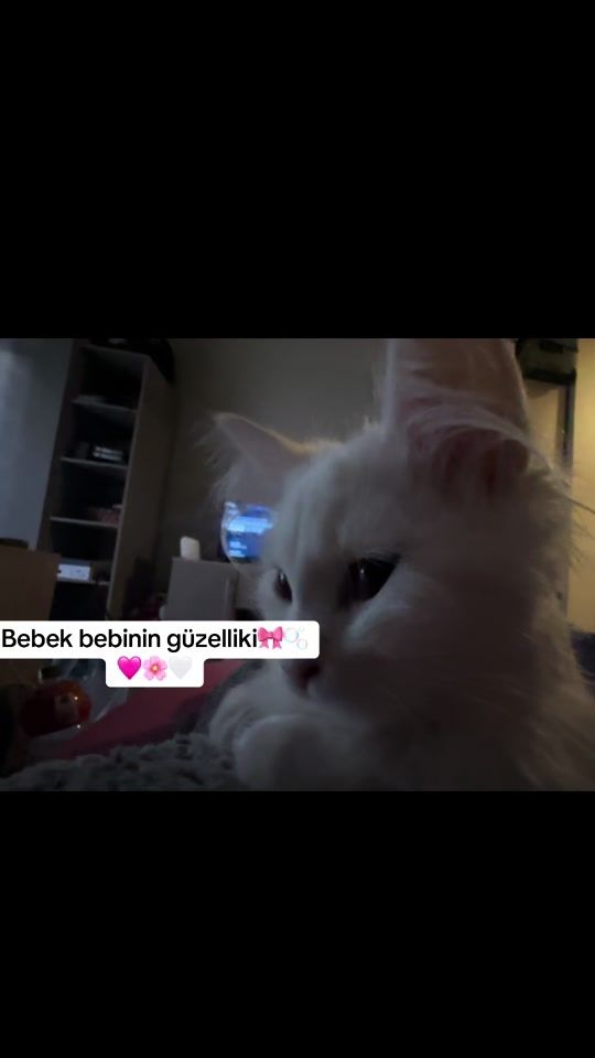 TikTok video thumbnail by minadolunayy