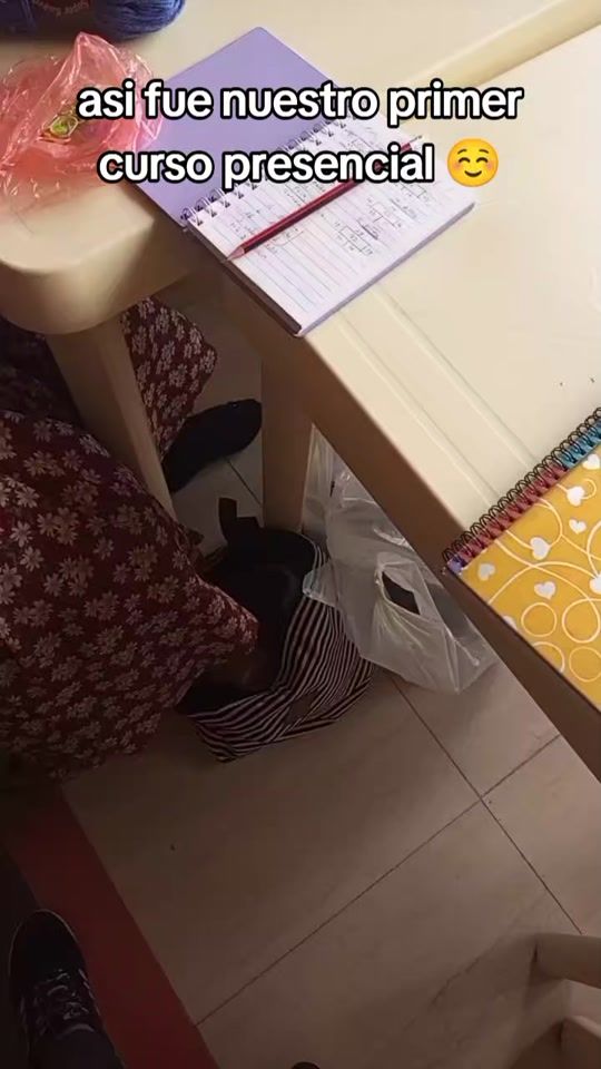TikTok video thumbnail by tepachet_lucerito