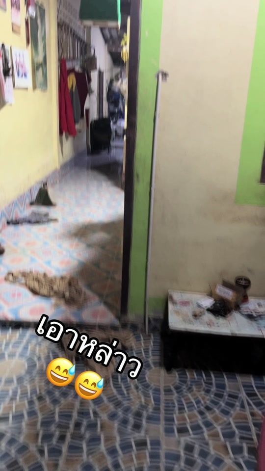 TikTok video thumbnail by kunnailadda_fc