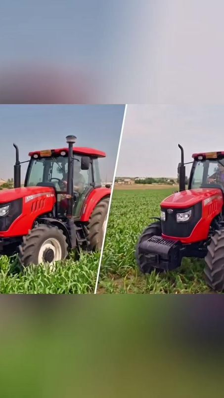TikTok video thumbnail by agritex.az