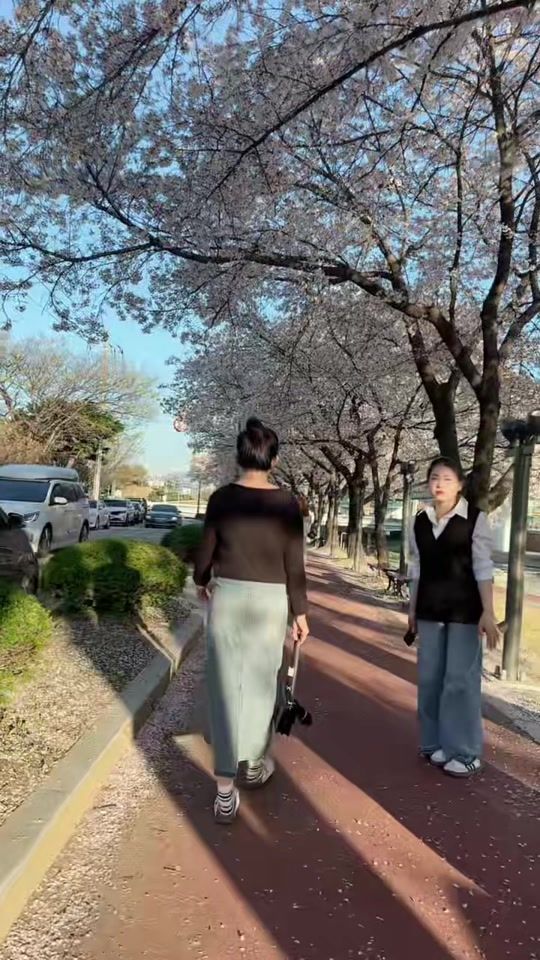 TikTok video thumbnail by juleap1006