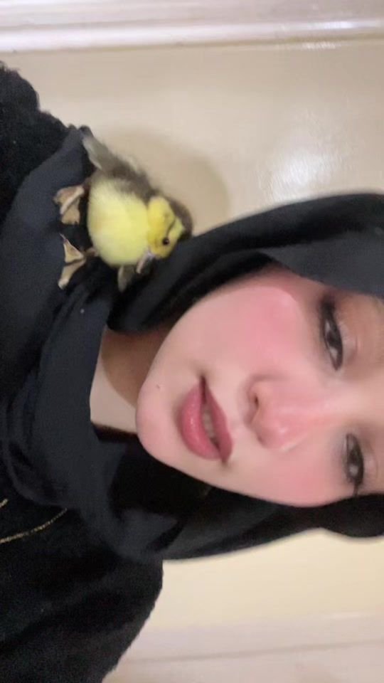 TikTok video thumbnail by ztztona